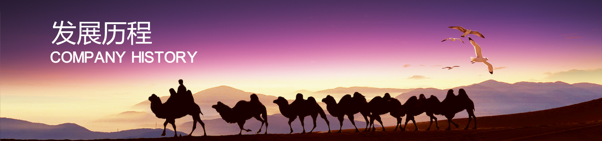 发展历程