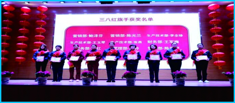 三八红旗手表彰