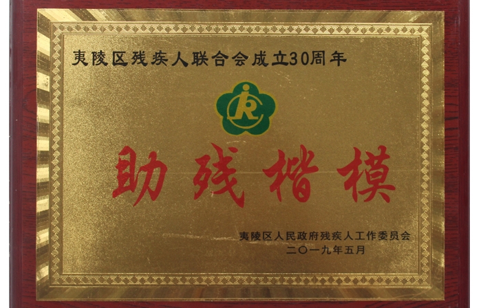 2019年助残楷模
